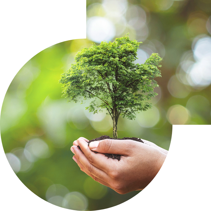 關懷人類、文化、環境與社會